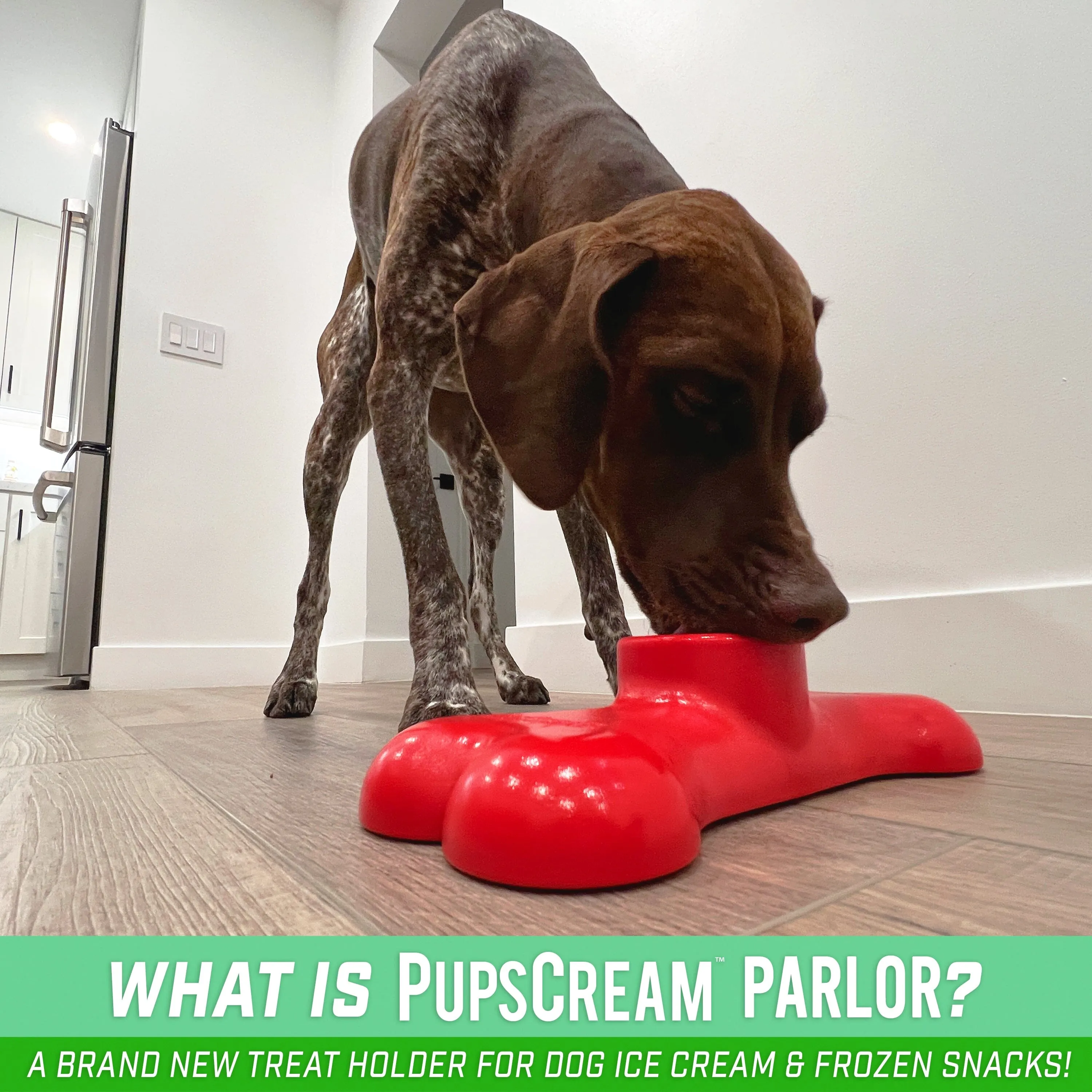 GoSports Pets Non-Slip PupsCream Parlor