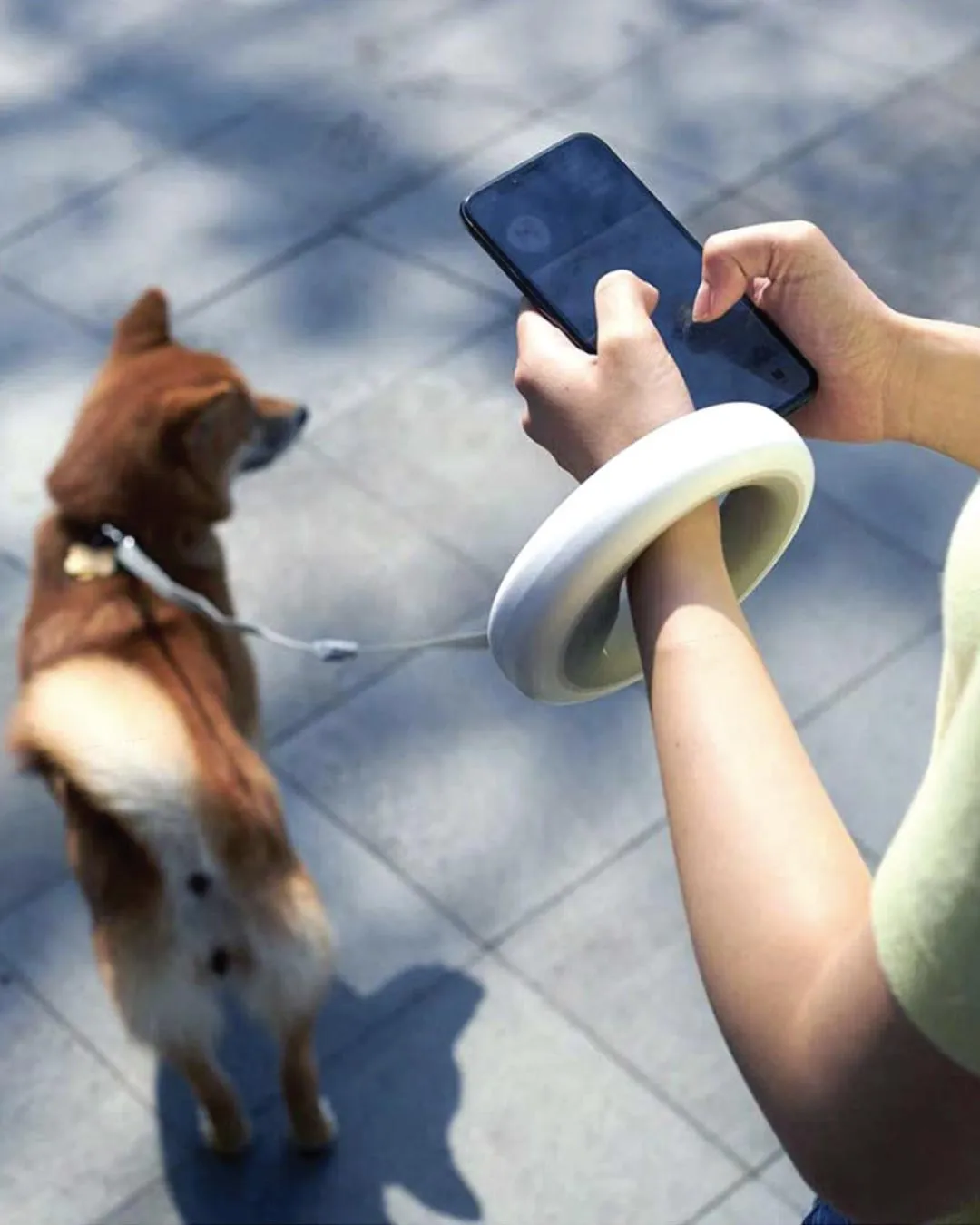 Turquoise Retractable Dog Leash