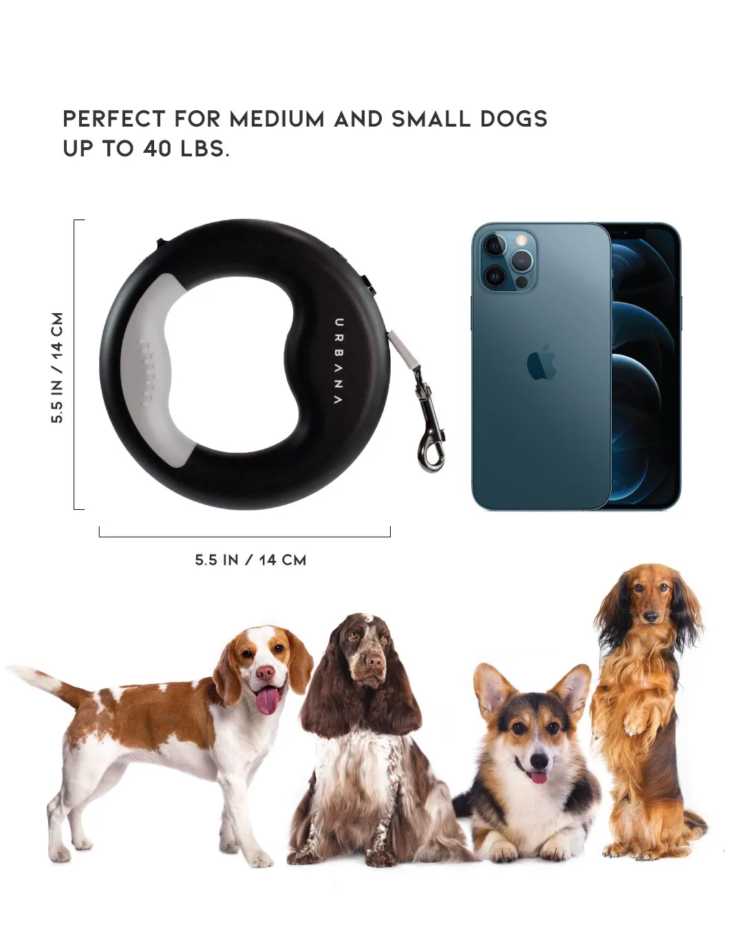 Turquoise Retractable Dog Leash